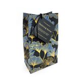 Gingko Bathing Brew  (Assorted Colours)