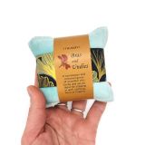 Gingko Bras & Undies Scented Pillows  (Assorted Colours)