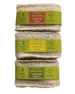 LP Loofah SoapRedG